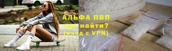 прущие грибы Коряжма