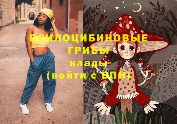 спайс Козловка
